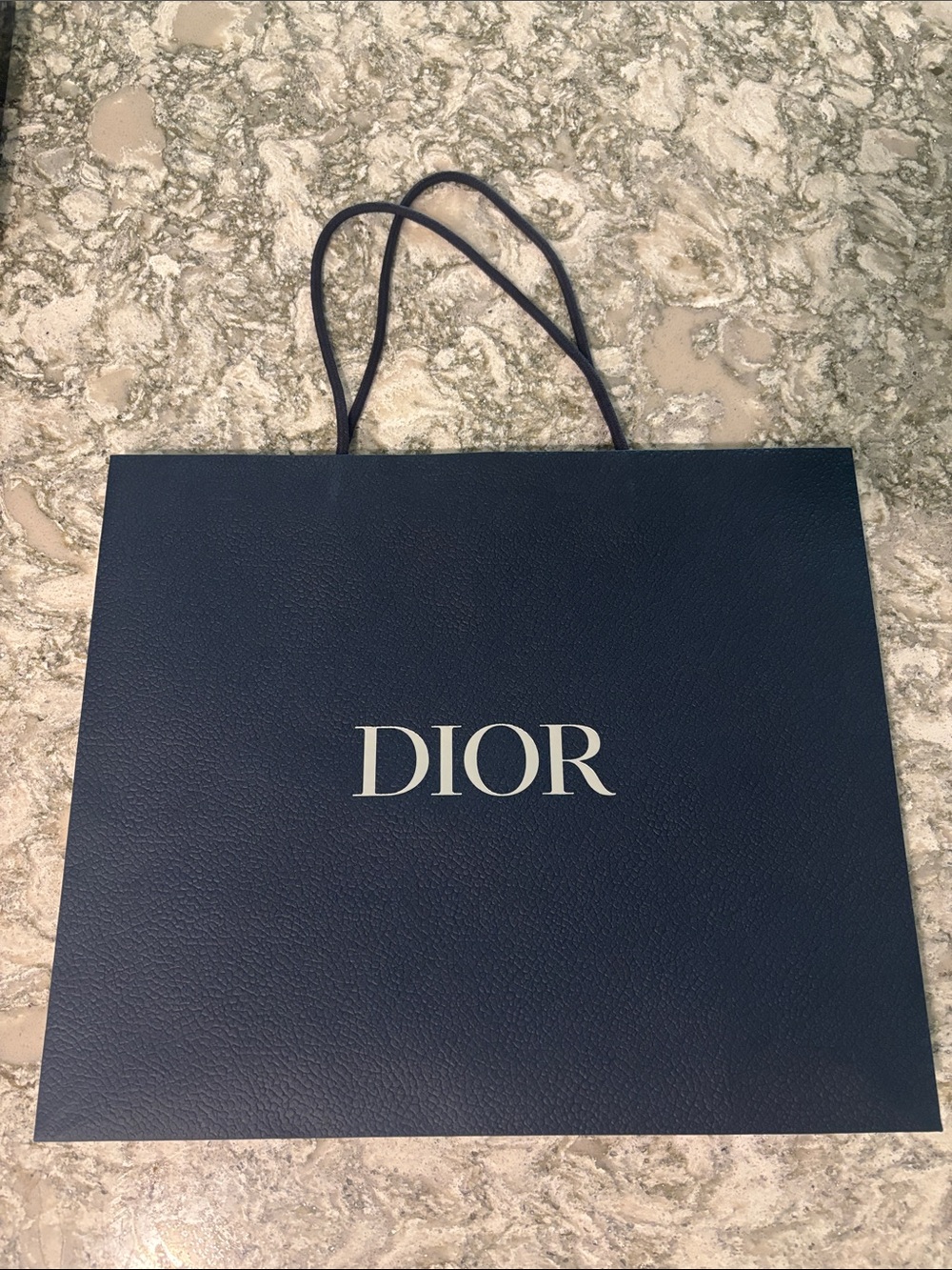 Dior Navy Blue Paper Shopping Bag with White Logo